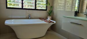 Berry Springs Tropical Retreat