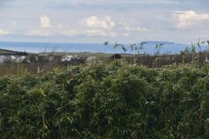 The Haven a quiet countryside retreat