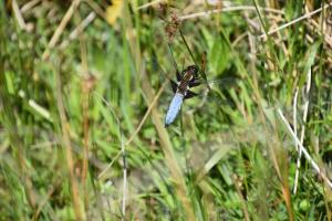 The Haven a quiet countryside retreat