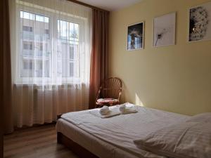 Apartamenty Magdalena