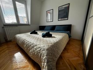 Ms Downtown Homely Apartment