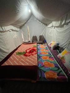Surkanda Kanatal View Camps - Affordable Camping in Kanatal