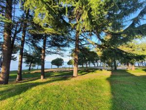 Youth Hostel Pinesta