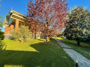 Stanza in villa da Alberto