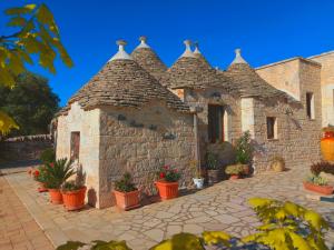 obrázek - La Rosa dei Trulli B&B