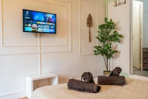 Le HENDRIX - Studio Hyper Centre