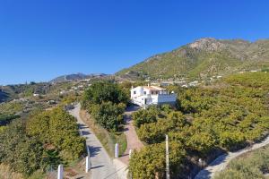 The Strawberry Villa private pool garden views