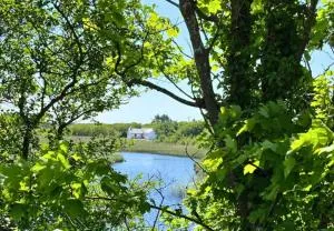 River Cottage, Clifden - Ballinaboy