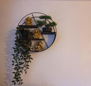 St Martins Old Schoolhouse Ballyroe Tralee