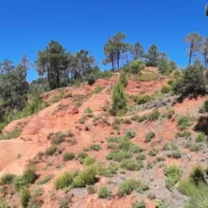 Nid d’aigle panorama Luberon - 鲁西永