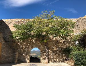 Appartements charmant deux pieces- terrasses- jardinet : photos des chambres