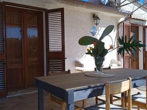 Il tempio sulle isole