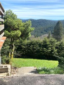 Maisons de vacances Maison d'altitude avec vue panoramique a Gerardmer : Maison 3 Chambres