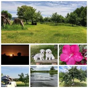 Natur, Wasser und Landleben - Camping mit eigenem Zelt - Weidenbach