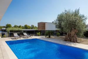 Villa Old Olive V 