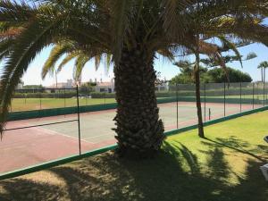 Algarve dream seaview apartment wpool near beach