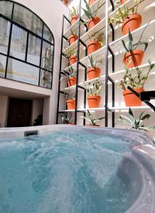 Capri Kronos Design Suites - 2 king beds, with gym, SPA & jacuzzi