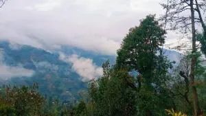 Palmajua Arivik Homestay - Bijanbāri Bāzār