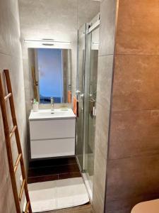 Appartements Appart cosy en hyper-centre : photos des chambres