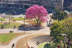 TANGO Estudio, piscina y gym