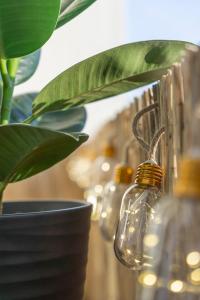 Special PICCO PICASSO Apartment Basel, Bahnhof Grossbasel 10-STAR