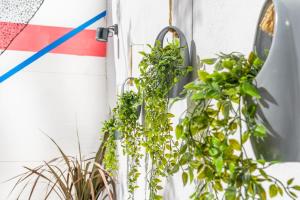 The HostMaster Gazi La Grande Maison