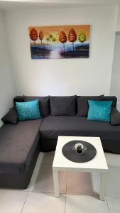 Apartman Tomić Sokobanja