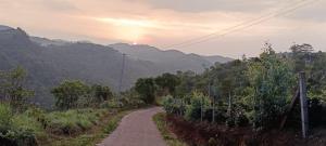 Dusk Vistas Resort