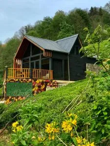 VAESS Villa Dağ Evleri - Güroluk