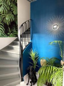 Appartements Bellevue confort 1 : photos des chambres