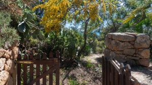 Porto Corallo Seafront img37