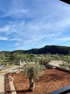 Ambelas Guest Rooms 2