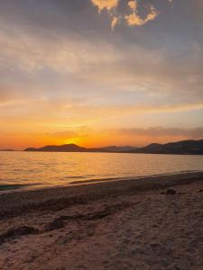 Appartement T2 - Hyères GARE