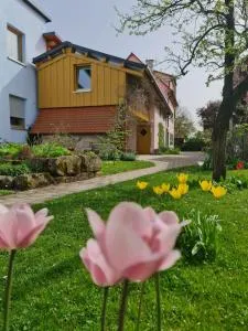 Ferienwohnung Wiesenhof - 诺伊霍夫安德泽恩