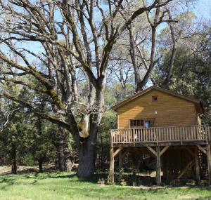 Maisons d'hotes Chateau Mentone : photos des chambres
