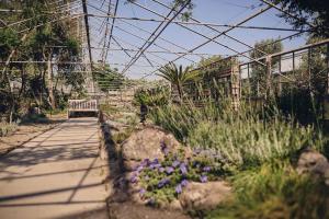 Rose Mari Green Home Hotel