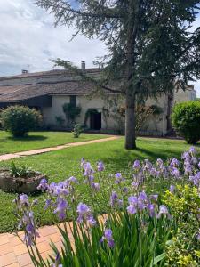 The Cool Lounge à Coulonges - Charente