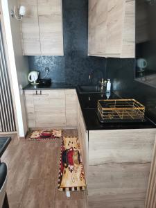 Przytulny apartament Brooklyn Centrum miasta Rzeszów - Podwisłocze 38