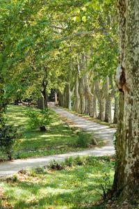 Maisons d'hotes Chateau Mentone : photos des chambres