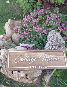 Cottage Milvia