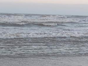 Habitación Dibulla la Guajira