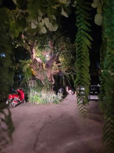 ห้องพักนครราชสีมาใกล้เซ็นทรัล The Rich Room