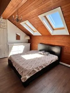 Belgrade View Senjak - Senjak (historical)