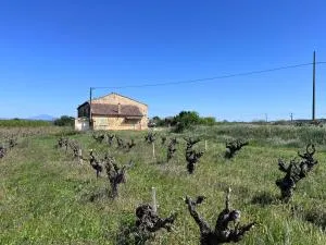 Gîte d'ysée au milieu des vignes - Vénéjan
