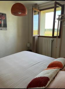 Gîte dysée au milieu des vignes