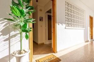 rentafive - Cerca del puerto - 2 min andando playa