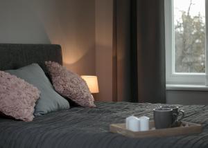 Kalamehe Apartment 4 near City center