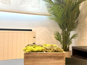 Apartamento reformado en Santoña