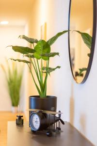 Special EiNSTEiN I Apartment Basel, Messe Kleinbasel 10-STAR