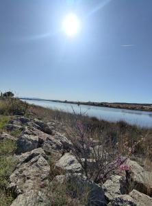 Maisons de vacances Les pieds dans l'eau aux Mers du Sud - Gruissan Les Ayguades : photos des chambres